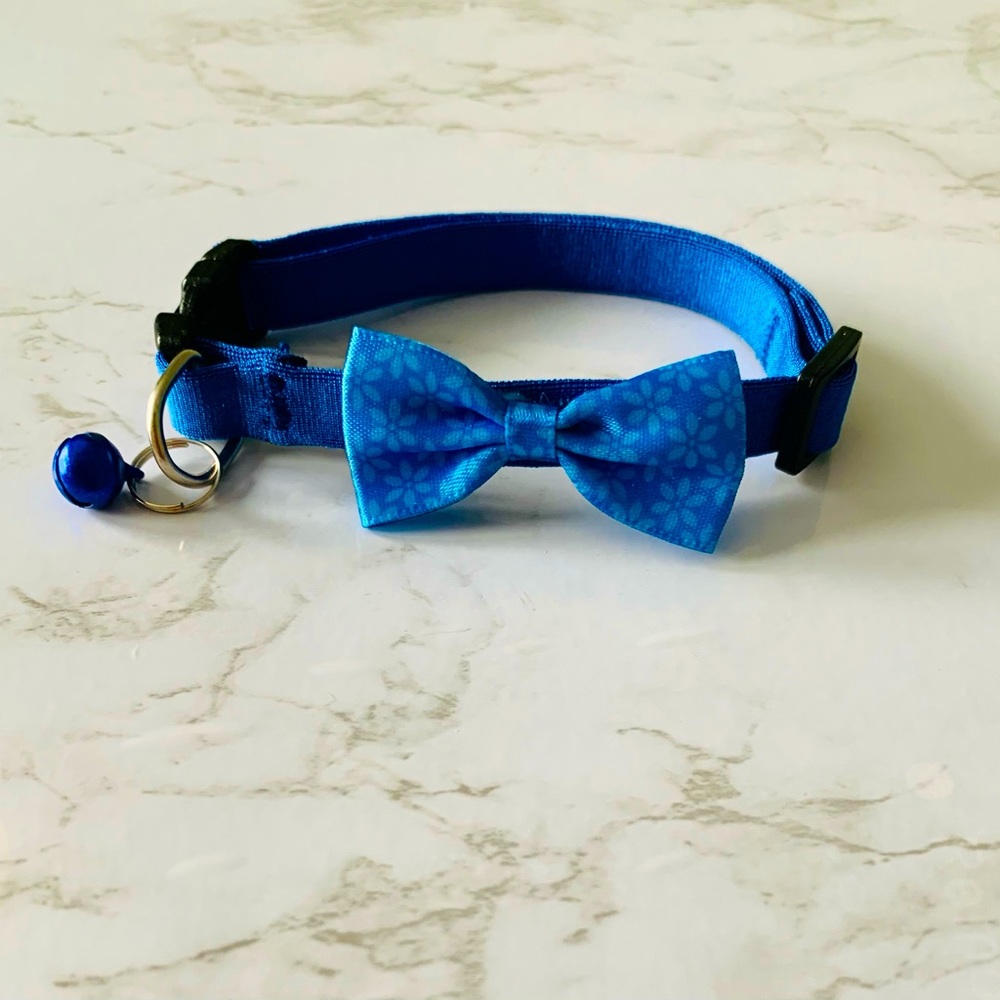 NWOT Small Pet Collar